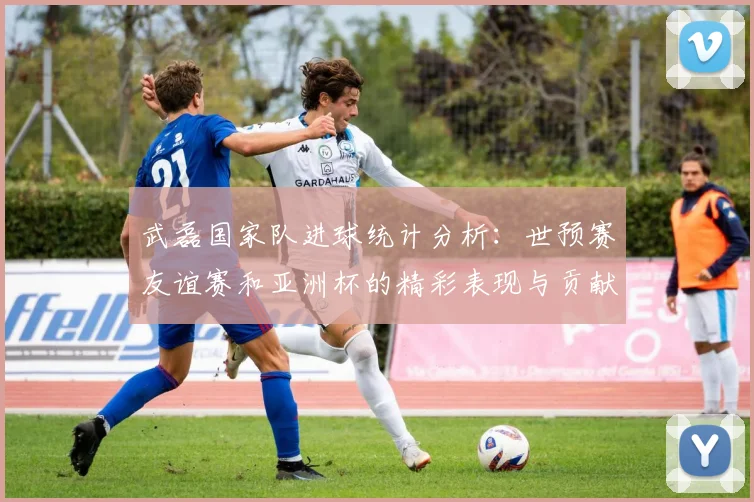 武磊国家队进球统计分析：世预赛友谊赛和亚洲杯的精彩表现与贡献