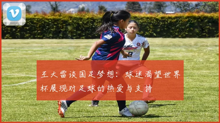 王大雷谈国足梦想：球迷渴望世界杯展现对足球的热爱与支持